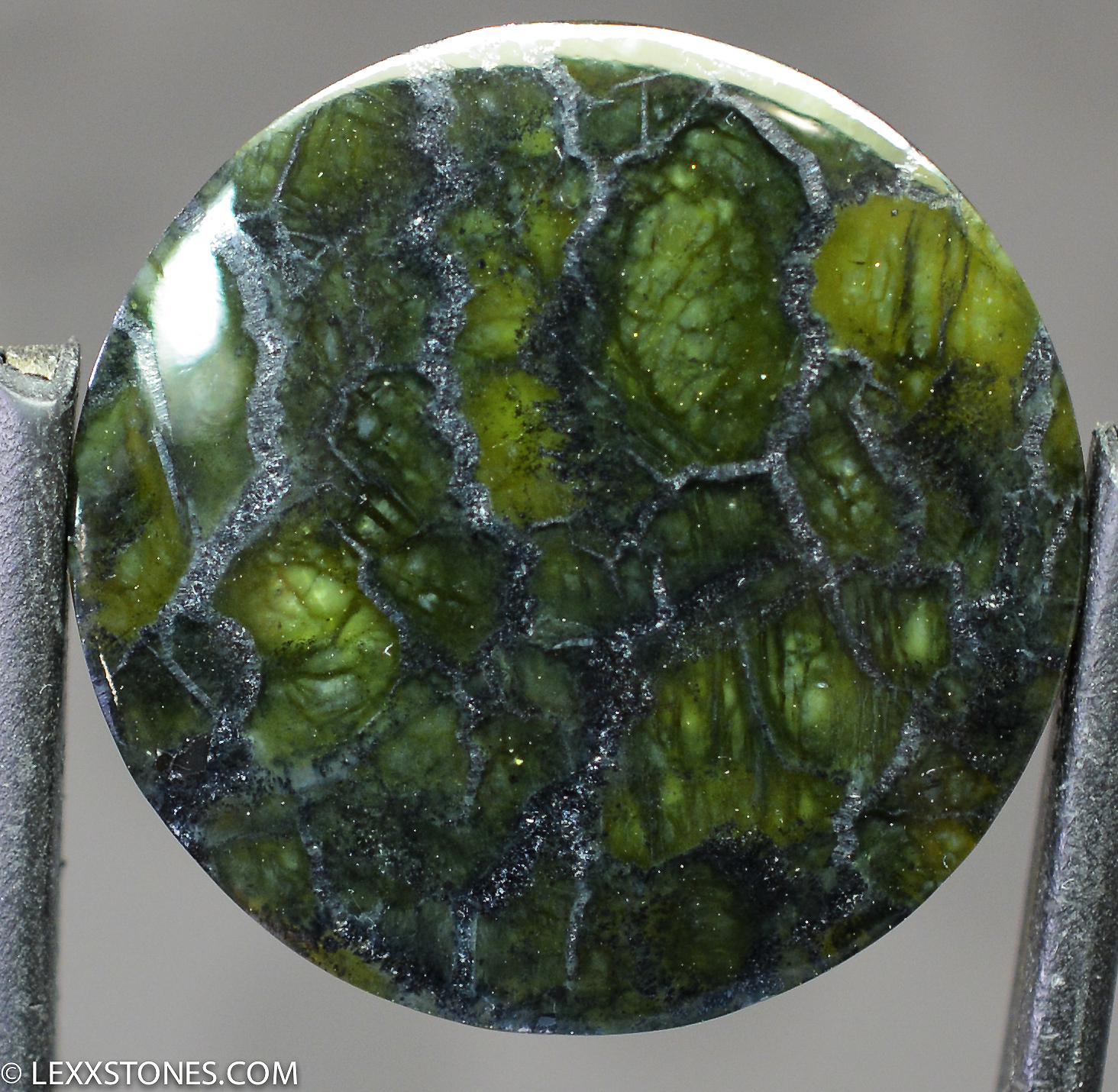 Olivine Peridot Lexx Stones | Lexx Stones